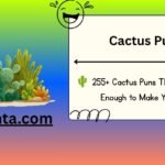 Cactus Puns