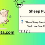 Sheep Puns